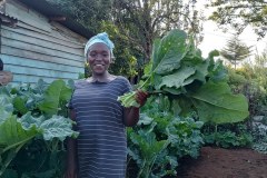 1708587377640_54726759743_l