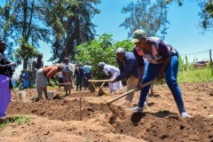 1734006721617_54725802392_l