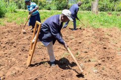 1734007051444_54725801637_l