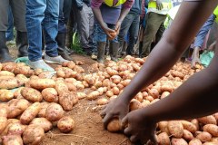 1734007150437_54726635171_l