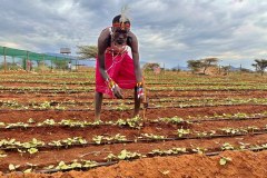 54132148276_3ebf7d8c74_k-copy_54726511736_l