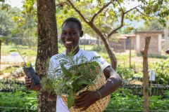 54148740884_7896ec6823_k-copy_54725677012_l