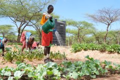 54195940962_cd0e509f20_5k-1-copy_54726733354_l