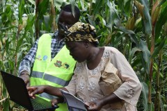 dsc_0206-copy_54726517356_l