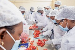 fga-122-copy_54726733759_l