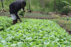 img-20240729-wa0030_54726714988_l