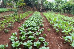 img_20240903_124402_54726756463_l